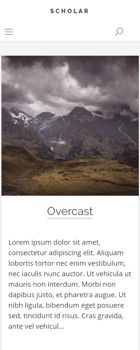 Blog