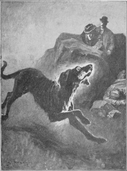 The hound of the Baskervilles: Another adventure of Sherlock Holmes by Doyle, Arthur Conan, Sir, 1859-1930. Page 310